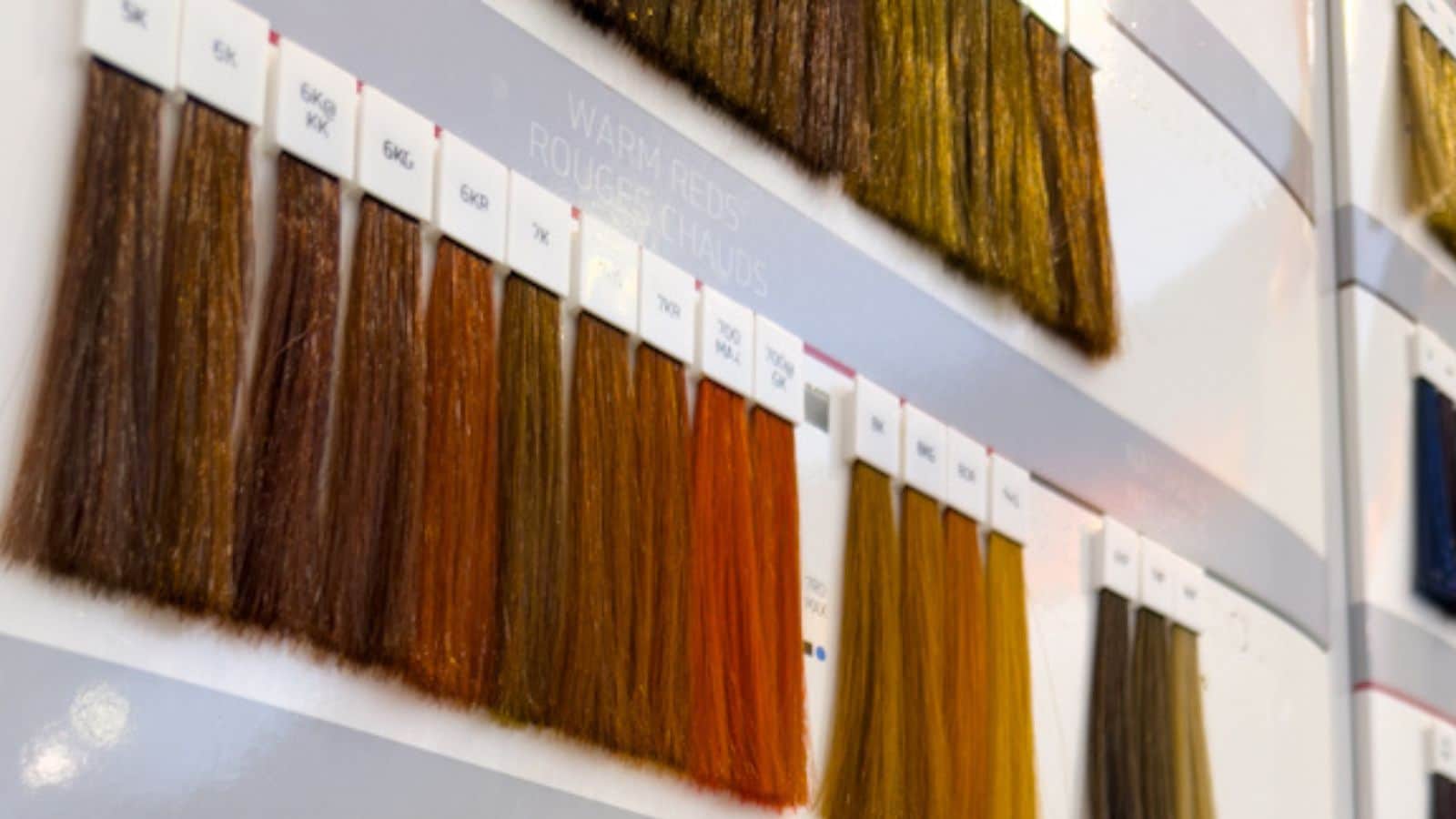 Hair Color Swatches at Trademark Salon